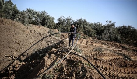 BM: İsrail saldırıları Gazze’deki tarım altyapısının yüzde 89'unu yok etti