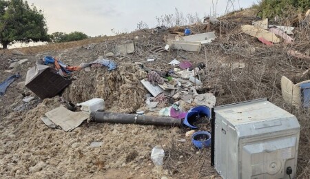 Fırat Borak: Ormanlar da sahiller kadar kirletiliyor, Dipkarpaz'da kimse bu talana yetişemez!