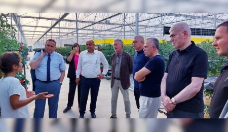 Sanayi Odası, Zonguldak Çaycuma Sera OSB’de topraksız tarımı inceledi