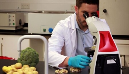 Haftalık Gıda Denetimi: İthal armut ve sarı fasulyede limit üstü pestisit tespit edildi