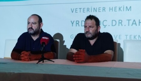 Hayvancılara yönelik küçükbaşlarda scrapie hastalığına karşı eğitim Güzelyurt'ta başladı