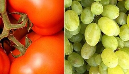 Haftalık gıda denetimi: 2 ithal üründe limit üstü, 1 yerli üründe tavsiye dışı bitki koruma ürünü