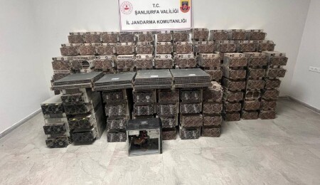 Şanlıurfa'da kaçak kripto madeni: 1500 haneye eşdeğer kaçak elektrik