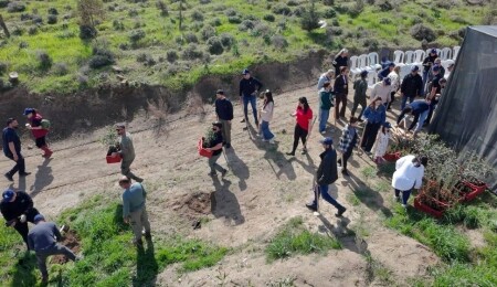 İnşaat mühendislerinden İMO Anı Ormanı’na 400 yeni fidan