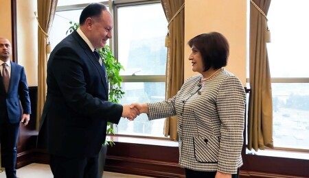 Ziya Öztürkler, Azerbaycan Milli Meclisi Başkanı Gafarova ile görüştü