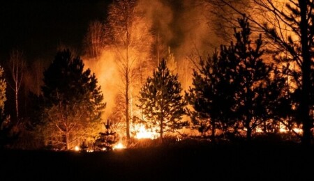 ABD’de orman yangınları: 120’den fazla ev kullanılamaz