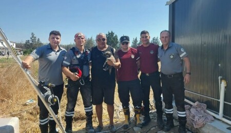 Güzelyurt’ta kuyuda mahsur kalan yavru köpek kurtarıldı