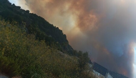Güney Kıbrıs'ta bir yangın daha: Bu kez Baf'ta orman yangını çıktı