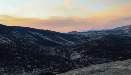 Kaliforniya'da 12 bin hektarı etkileyen orman yangını kontrol altına alınamıyor