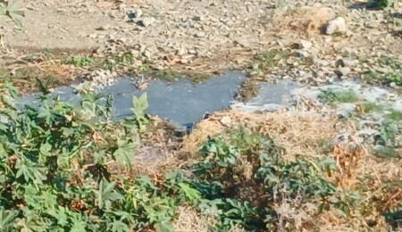 Lefke Çevre ve Ekoloji Derneği: Gemikonağı Deresi’ne yeniden lağım suları karıştı