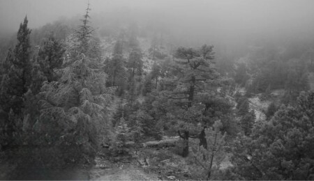 Trodos dağlarına yılın ilk karı düştü