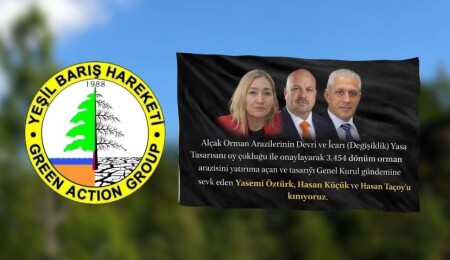 Yeşil Barış Hareketi, imzacı vekilleri kınadı: 3 bin 454 dönüm orman arazisi yatırım adı altında veriliyor