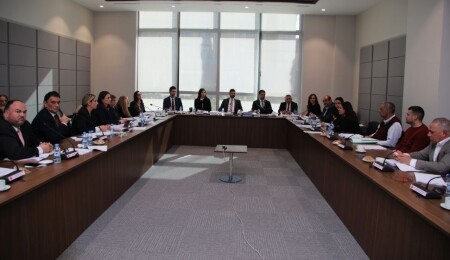 İdari, Kamu ve Sağlık İşleri Komitesi, Bütçe Dairesi ile BRTK yasa tasarılarını görüştü