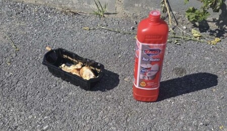 Metehan’da sokak hayvanlarına yönelik zehirleme girişimi: Ekmek parçasına tuz ruhu döküldüğü iddia edildi