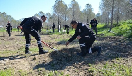 Sivil Savunma Teşkilatı, 9 Mart kapsamında Sivil Savunma Koruluğu’na 157 zeytin fidanı dikti
