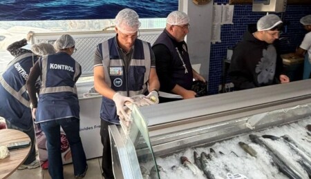 Gönyeli ve Alayköy bölgesindeki su ürünleri perakende satış yerleri denetlendi: 70 kilo ürün imha edildi