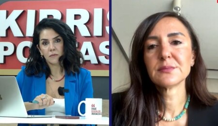 Jale Refik Rogers: Hükümetin icraat olarak övündüğü okulları kendileri değil, iş insanları yaptı