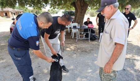 İskele’de köpekler için mikroçip ve ruhsatlandırma işlemleri başladı