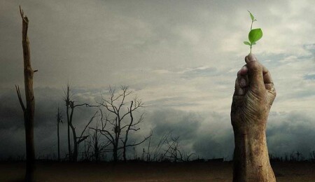 Çarpıcı araştırma: ‘İnsanlık 900 bin yıl önce yok oluşun eşiğinden döndü’