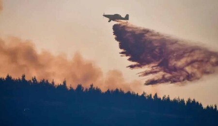 Japan Deploys 2,000 Firefighters to Tackle Forest Blaze