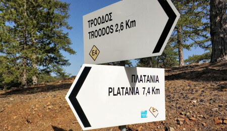 8 Kıbrıslı Türk, Trodos’ta saldırıya uğradı