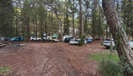 Patika’dan Orman Dairesi’ne “ücret” tepkisi: Hukuk mücadelesi ve fiilî direniş sürecek