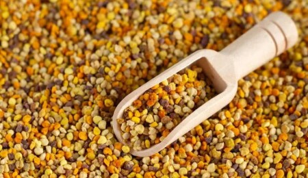 Okula başlayan öğrencilerin bağışıklığı için propolis önerisi