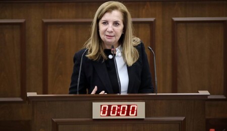 Resmiye Canaltay: Asal Şube ve Güvenlik Kuvvetleri Komutanlığı bazı önerilerimizi kabul etmedi