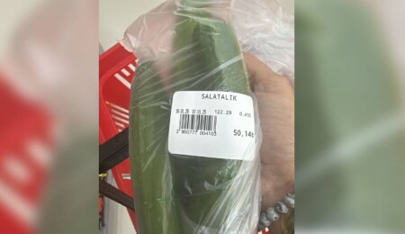 Kilosu 122 TL: 3 adet salatalık 50 TL