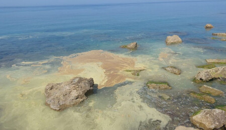 Çevre Koruma Dairesi: Deniz suyu numuneleri alındı, analiz sonuçları kamuoyu ile paylaşılacak