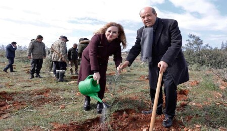 Nüfus tartışmasına Sibel Tatar da dahil oldu: “Hoşgeldin Bebek” projesinde 10 bin ağaç dikildi