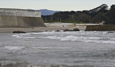 UAEA, atık su tahliyesi sonrası Fukuşima'dan ilk deniz suyu ve mahsulü numunelerini aldı