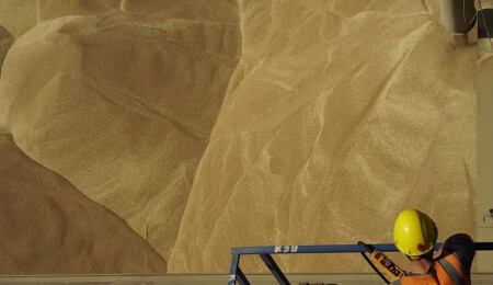 Ukrayna ve İsrail arasında "çalınmış" tahıl sevkiyatları nedeniyle diplomatik gerilim yaşanıyor