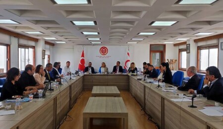 “Taşınmaz Mal Edinme ve Uzun Vadeli Kiralama (Yabancılar) (Değişiklik) Yasa Tasarısı” komitede