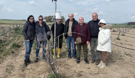 Organik tarımda teknolojik dönüşüm: Akıncılar ve İnönü’nde METOS İklim İstasyonları kuruldu