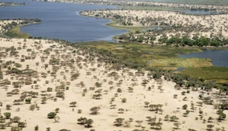 Afrika'nın can damarı Çad Gölü kurumaya devam ediyor