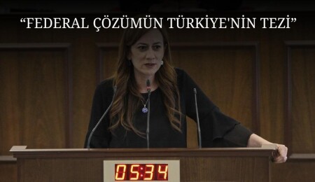 Doğuş Derya: Adanın kuzeyi Türkiye vilayeti değildir