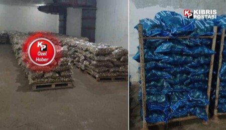 Türkiye’den ithal edilen patatesin dağıtımı yarın başlıyor!