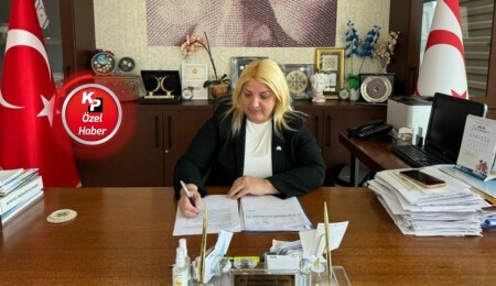 Mehmetçik yangını: Ekin tarlasında başlayan yangında, soğutma çalışmaları sürüyor