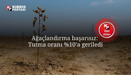 Yanan yanıyor, yerine konamıyor: Mersinlik yangını sonrası fidanlar tutmadı!