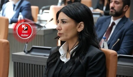 Özdenefe: Tatar, Rum liderliğinin dağıttığı masayı Kıbrıslı Türklerin üzerine yıktı