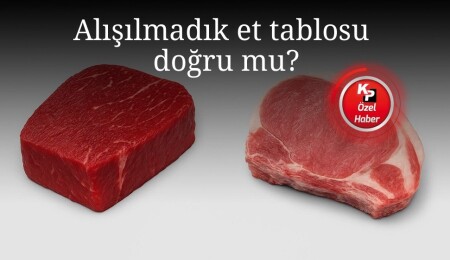 Dünyada nadir görülen tablo: Dana, kuzuyu neden geçti?