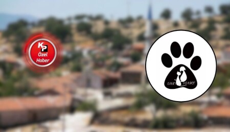20’ye yakın köpek zehirlenerek öldürüldü: Yasalara göre katil bulunana kadar soruşturma sürecek!