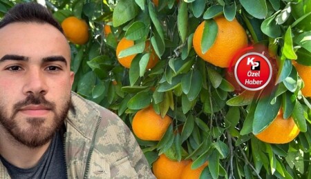 Narenciye üreticisinden çağrı: Bu toprakları terk etmek istemiyoruz!