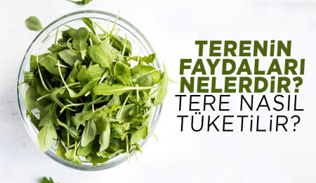 Terenin faydaları nelerdir?