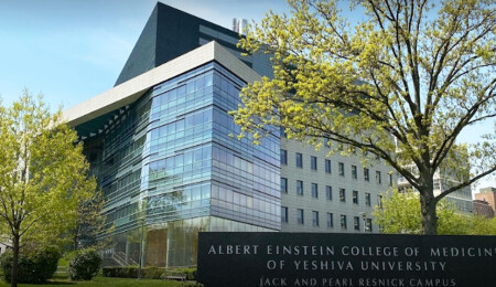 Albert Einstein Tıp Fakültesi'ne 1 milyar dolarlık bağış; Öğrenciler ücretsiz okuyacak