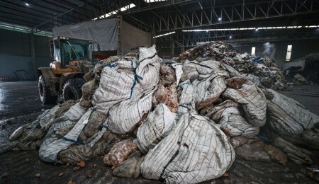 Bitki hastalığı tespit edilen patateslerin Mersin'de imhası devam ediyor