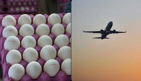 Türkiye’de aralık 2024'te fiyatı en fazla artan ürün "yumurta", en çok düşen "hava yoluyla yolcu taşımacılığı" oldu