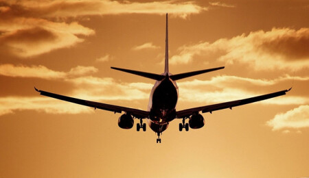 Havayolu personeli tekerlekli sandalyeleri yere atarken görüntülendi