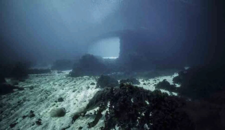 Europe's first underwater restaurant opened